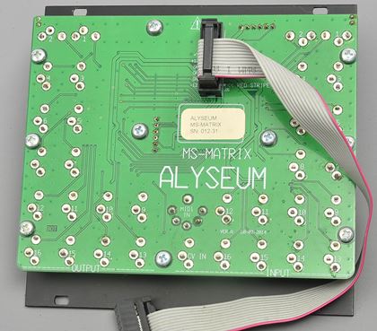various-Alyseum MS-Matrix original module